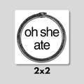 "oh she ate" Ouroboros Magnet 2x2