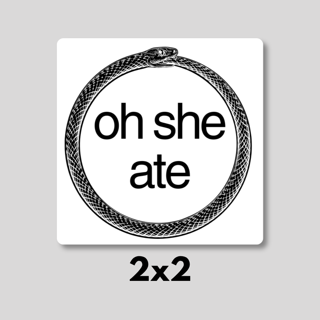 "oh she ate" Ouroboros Magnet 2x2